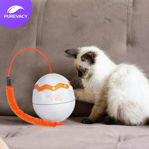 Interactive Cat Toy Dino Egg White Automatic Toy with 360 Degree Rotation Auto