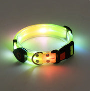 Rechargeable LED Pet Collar with Nylon Leash