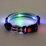 Rechargeable LED Pet Collar with Nylon Leash