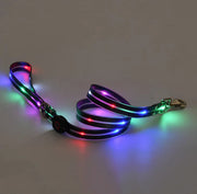 Rechargeable LED Pet Collar with Nylon Leash