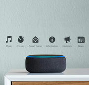 Learning English WIFI Smart Speaker